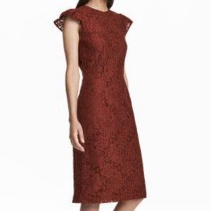 🥂 Fun Knee length H&M rust colored lace dress